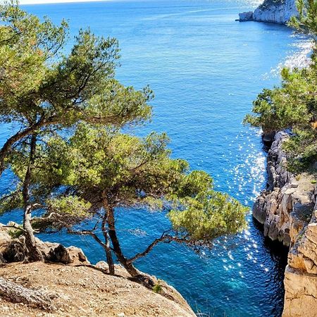 Le Paradis Bleu Calanque De Figuieres, Paddle Et Veranda Ensues-la-Redonne Exterior foto